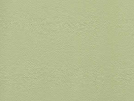 Leather Upholstery 耐燃彩虹皮系列 皮革 沙發皮革 1091 草綠色